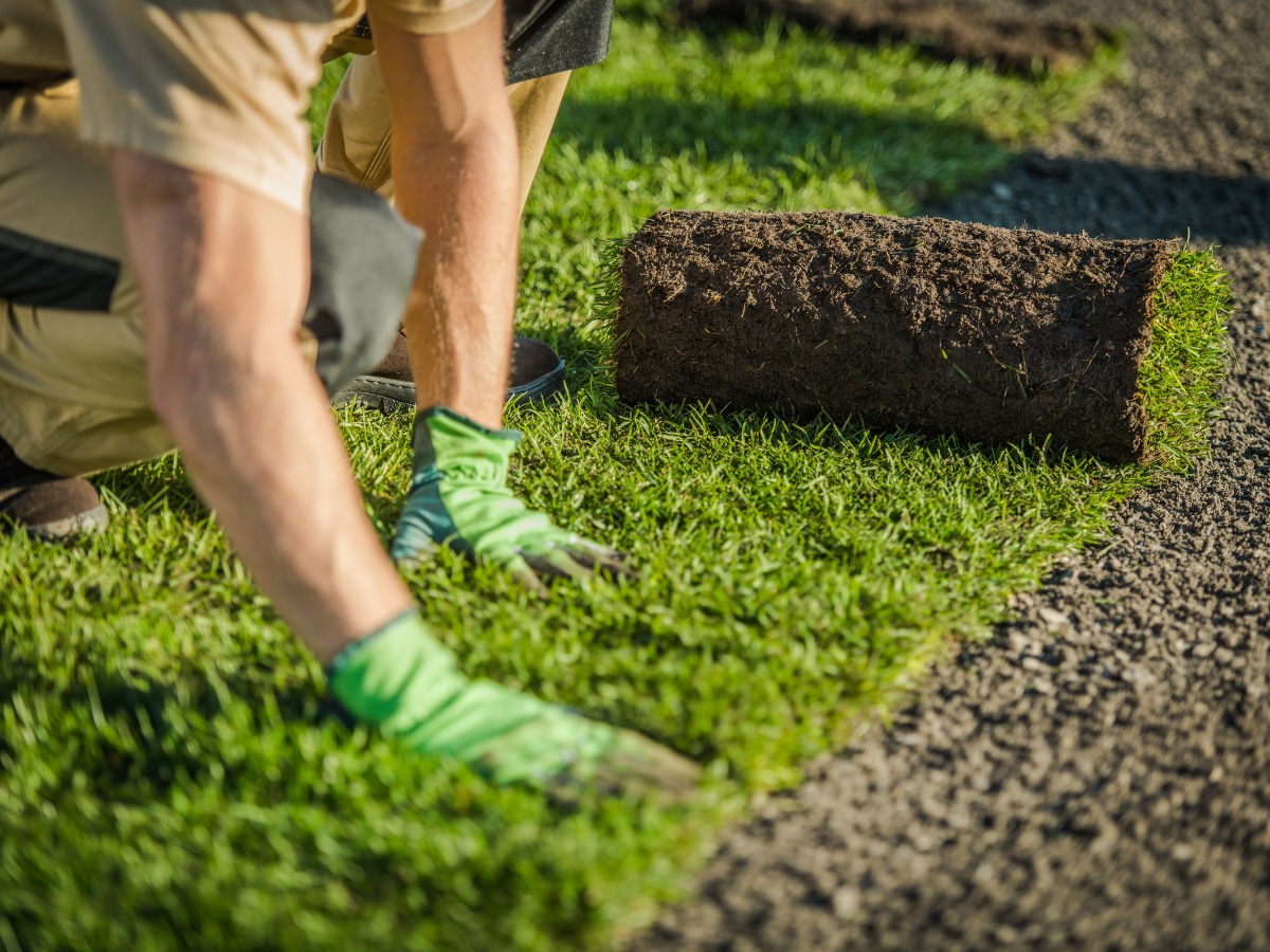 grass turf installation