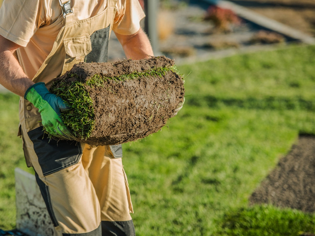 Grass Turf Installation