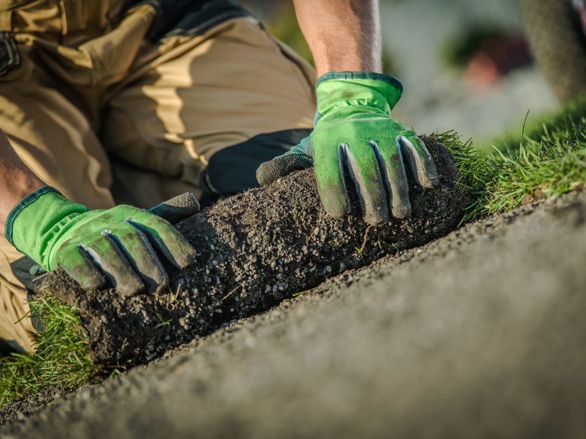 Grass Turf Installation