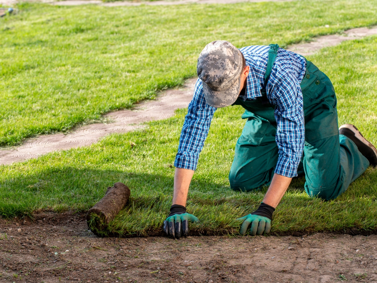 Grass Turf Installation