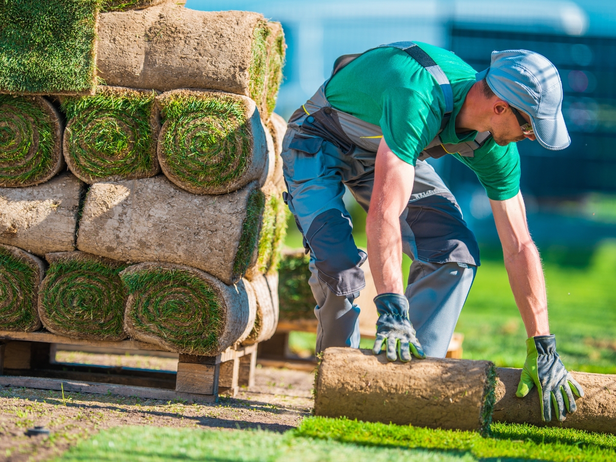 Grass Turf Installation