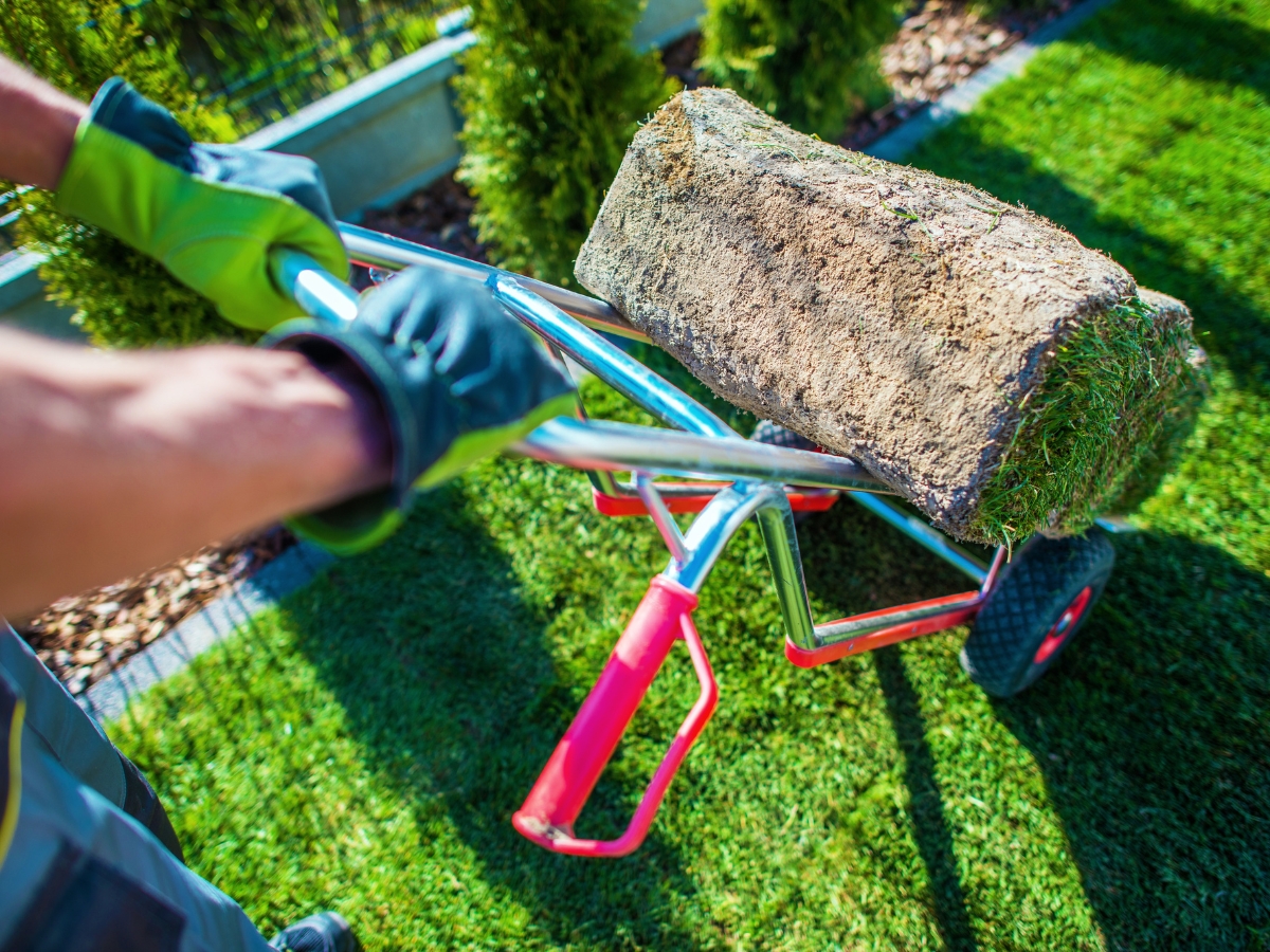 Grass Turf Installation